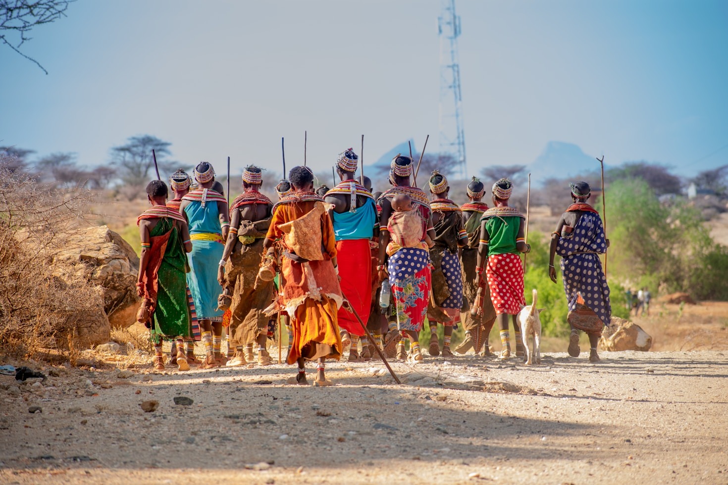 How Language Preserves African Heritage Across Generations